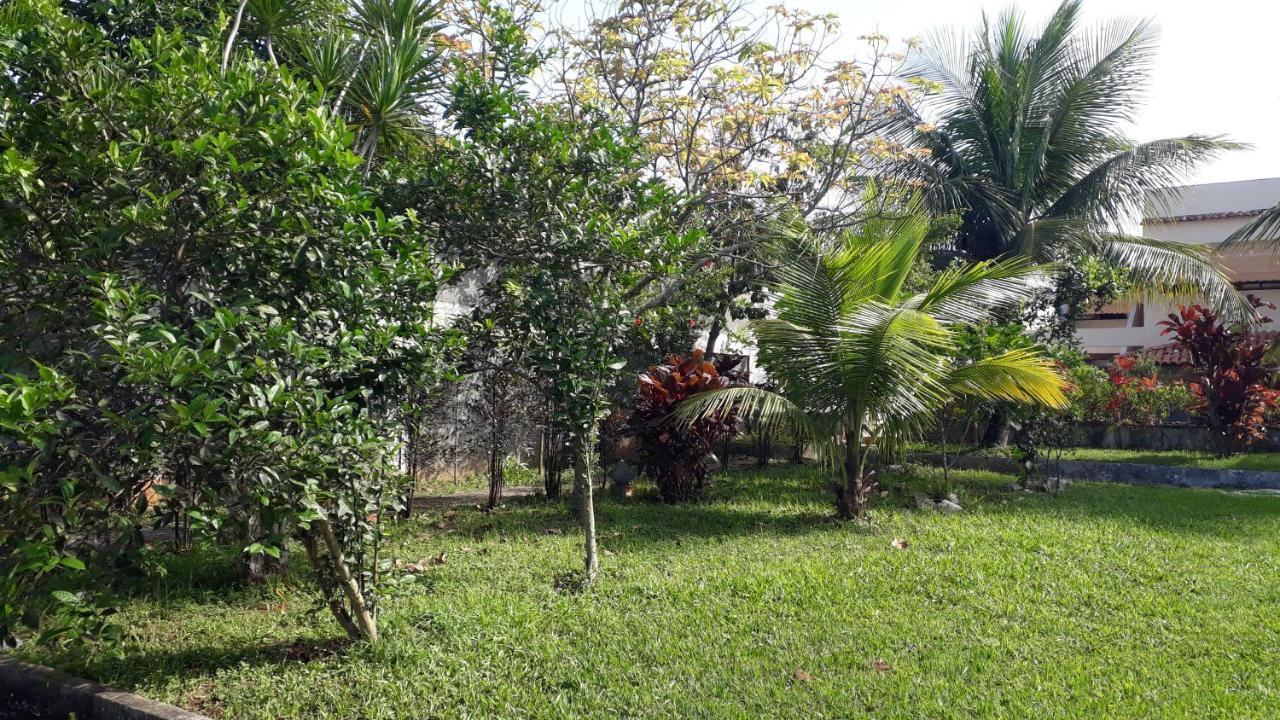 Mansao Cinematografica Homestay